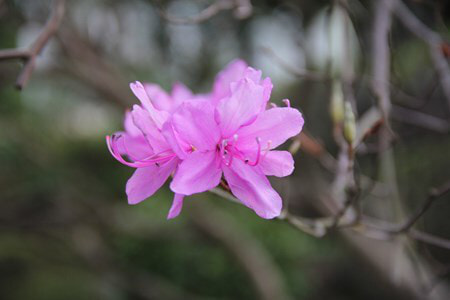 img_7675.jpg