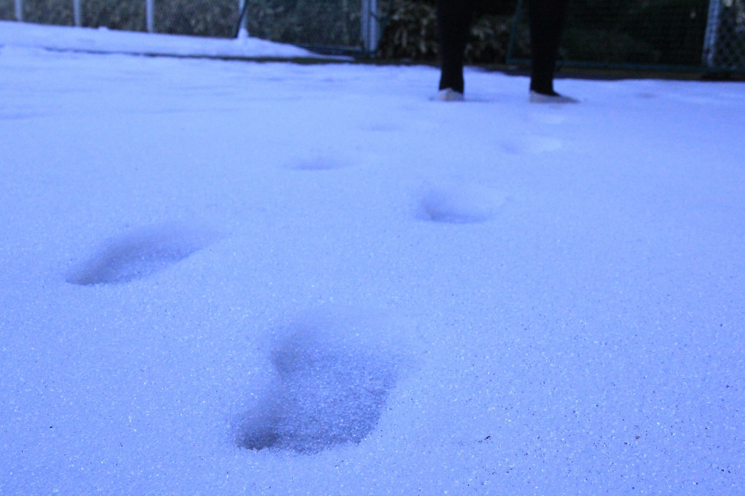_mg_7181.jpg